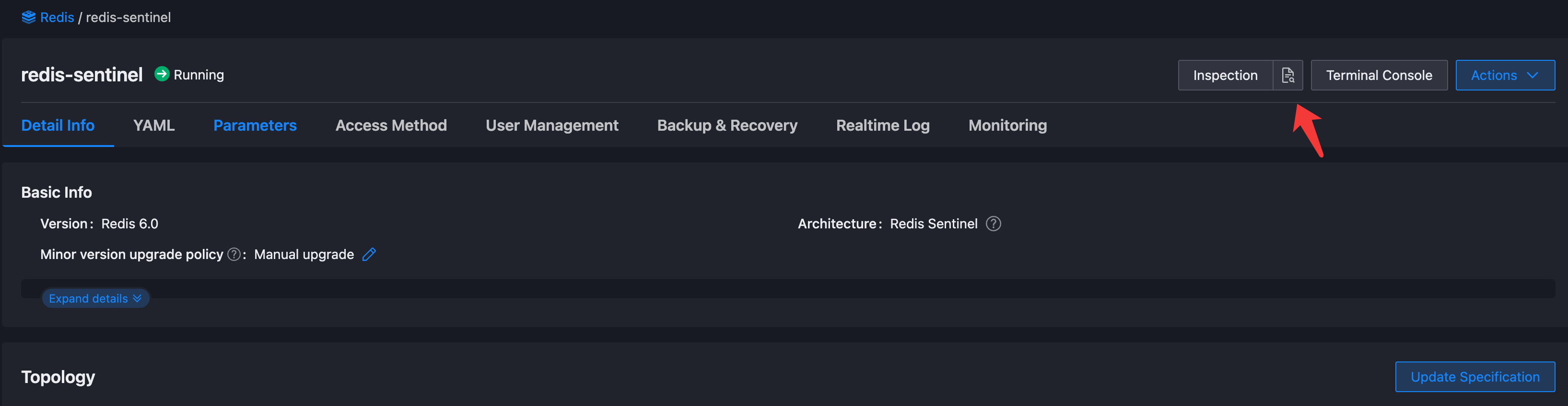BigKey Detection Report View Entry